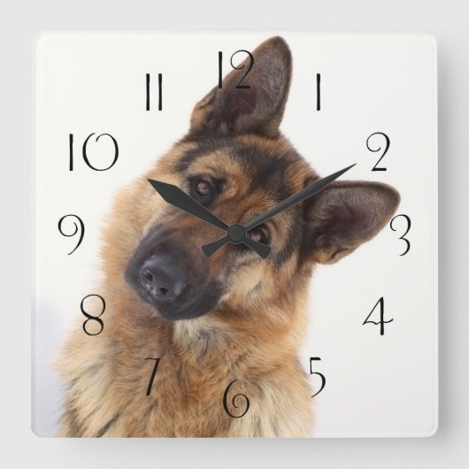 Horloge Carrée Adorable funny german shepherd portrait (Recto)