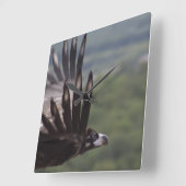 Horloge Carrée Aegypius monachus (Angle)