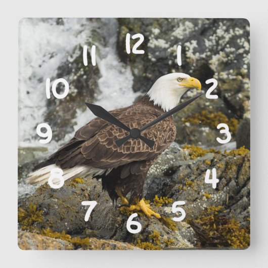 Horloge Carrée Aigle à tête blanche (Recto)