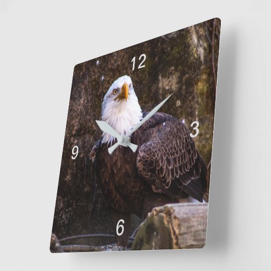 Horloge Carrée Aigle de Bald (Angle)