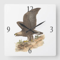 Aigle d'or (Aquila chrysaetos) NY Bird Image