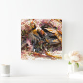 HORLOGE CARRÉE ALGUES (Maison)