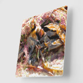 HORLOGE CARRÉE ALGUES (Angle)