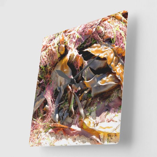 HORLOGE CARRÉE ALGUES (Angle)