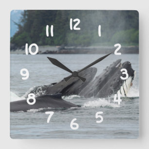 Horloge Carrée Alimentation des baleines à bosse