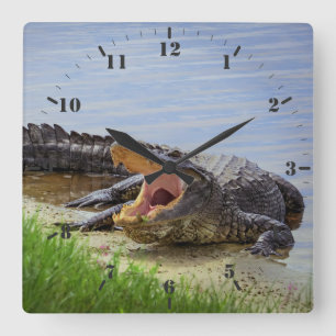 Horloge Carrée Alligator sauvage de Floride