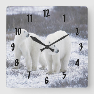 Horloge Carrée Amour d'ours polaire