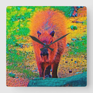 Horloge Carrée AnimalColor_Capybara_011