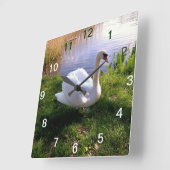 Horloge Carrée Animaux (Angle)