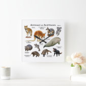 Horloge Carrée Animaux d'Australie (Maison)
