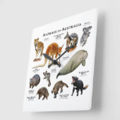 Horloge Carrée Animaux d'Australie (Angle)