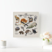 Horloge Carrée Animaux d'Australie (Maison)