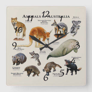 Horloge Carrée Animaux d'Australie