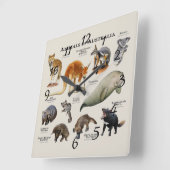 Horloge Carrée Animaux d'Australie (Angle)