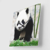 Horloge Carrée Animaux de bébés cutest | Baby Panda Bear (Angle)