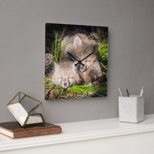 Horloge Carrée Animaux de bébés cutest Baby Red Fox Kits Sleepi