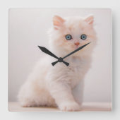 Horloge Carrée Animaux de bébés cutest | Blue Eye Kitten (Recto)