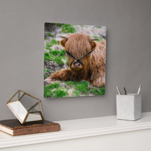 Horloge Carrée Animaux de bébés cutest Calf de vache des Highla