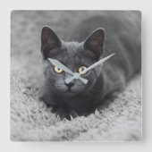 Horloge Carrée Animaux de bébés cutest | Chat gris (Recto)