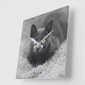 Horloge Carrée Animaux de bébés cutest | Chat gris (Angle)
