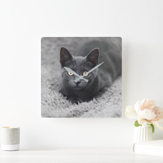 Horloge Carrée Animaux de bébés cutest | Chat gris (Maison)