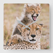 Horloge Carrée Animaux de bébés cutest | Cheetah Cat & Cub (Recto)