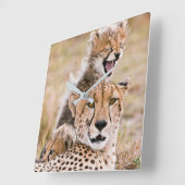 Horloge Carrée Animaux de bébés cutest | Cheetah Cat & Cub (Angle)