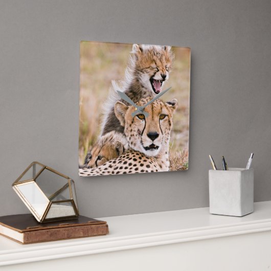 Horloge Carrée Animaux de bébés cutest | Cheetah Cat & Cub (Bureau)