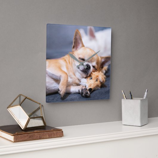 Horloge Carrée Animaux de bébés cutest | Chihuahua Chig aux cheve (Bureau)