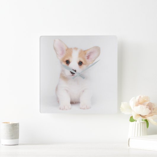 Horloge Carrée Animaux de bébés cutest | Chiot de Corgi blanc (Maison)