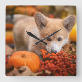 Horloge Carrée Animaux de bébés cutest | Corgi Puppy en automne (Recto)