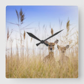 Horloge Carrée Animaux de bébés cutest | Deux jeunes cerfs à queu (Recto)