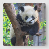 Horloge Carrée Animaux de bébés cutest | Géant Panda Cub (Recto)