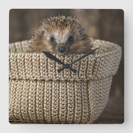 Horloge Carrée Animaux de bébés cutest | Hérisson dans un panier (Recto)