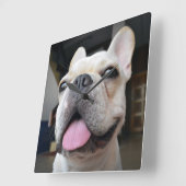 Horloge Carrée Animaux de bébés cutest | Le visage de Bulldog (Angle)