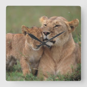 Horloge Carrée Animaux de bébés cutest | Lion Cub & Mother (Recto)