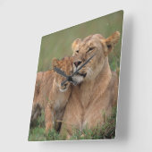 Horloge Carrée Animaux de bébés cutest | Lion Cub & Mother (Angle)