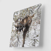 Horloge Carrée Animaux de bébés cutest | Moose Calf (Angle)