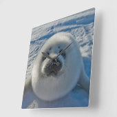 Horloge Carrée Animaux de bébés cutest | Phoque bébé (Angle)