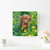 Horloge Carrée Animaux de bébés cutest | Pointeur (Maison)