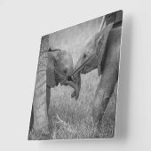 Horloge Carrée Animaux de bébés cutest | Salutation des éléphants (Angle)