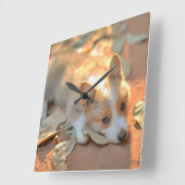 Horloge Carrée Animaux de bébés cutest | Shy Corgi (Angle)