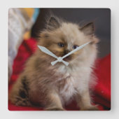 Horloge Carrée Animaux de bébés cutest | Siamese Kitten (Recto)