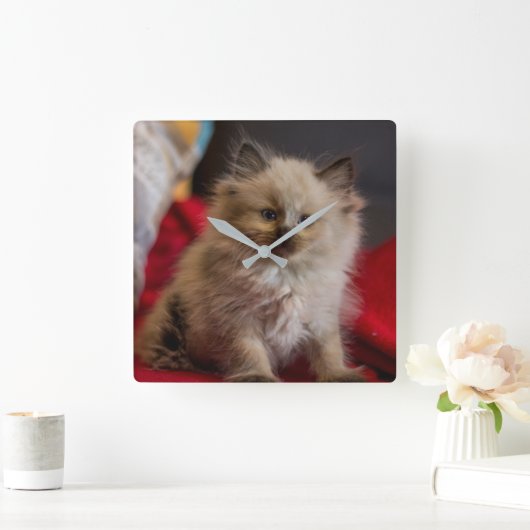 Horloge Carrée Animaux de bébés cutest | Siamese Kitten (Maison)