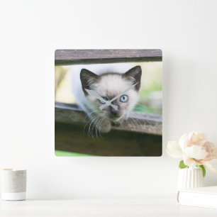 Horloge Carrée Animaux de bébés cutest Siamese Kitten 2