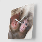 Horloge Carrée Animaux de bébés cutest | Singe des neiges (Angle)