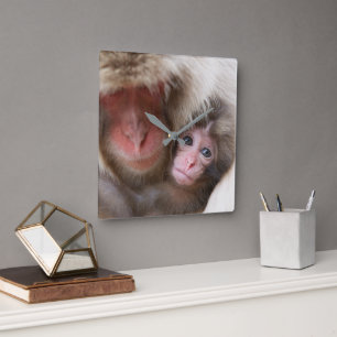 Horloge Carrée Animaux de bébés cutest Singe des neiges