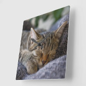 Horloge Carrée Animaux de bébés cutest | Tabby Kitten Sommeil (Angle)