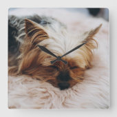 Horloge Carrée Animaux de bébés cutest | Yorkshire Terrier (Recto)