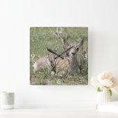 Horloge Carrée Antilope pronghorn A7 bébé (Maison)